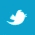 Twitter Icon